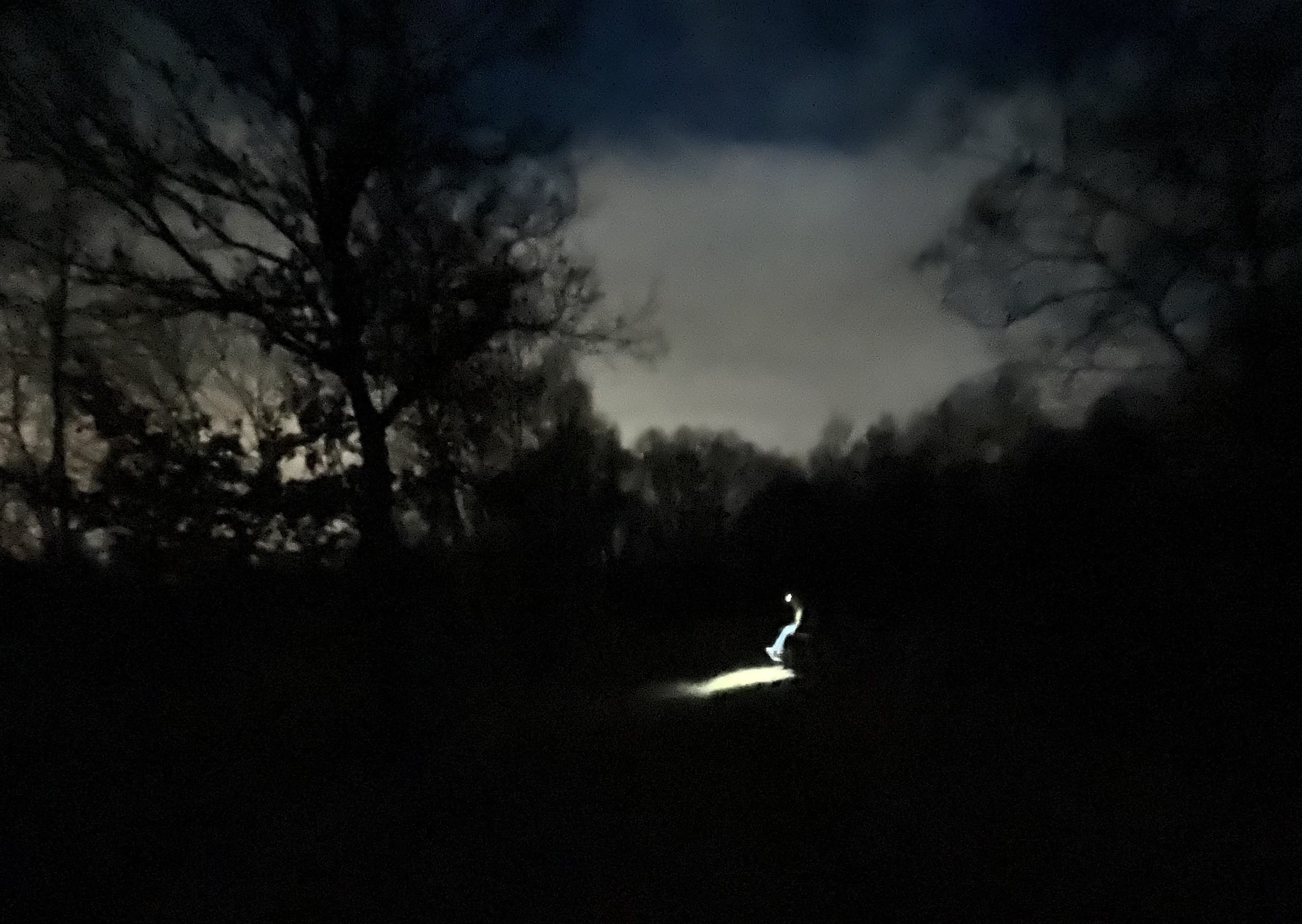 Dunkelheit im Moor, mittendrin ein grelles Lichtbogen. Ein sitzender Mensch, der sich mit der Stirnlampe sich selbst und den Boden anstrahlt