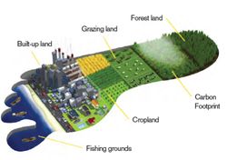 Footprint mit einzelnen Ressourcen wie Wald, Meer, Ackerfläche