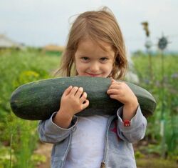 Kind freut sich über Zucchini-Ernte