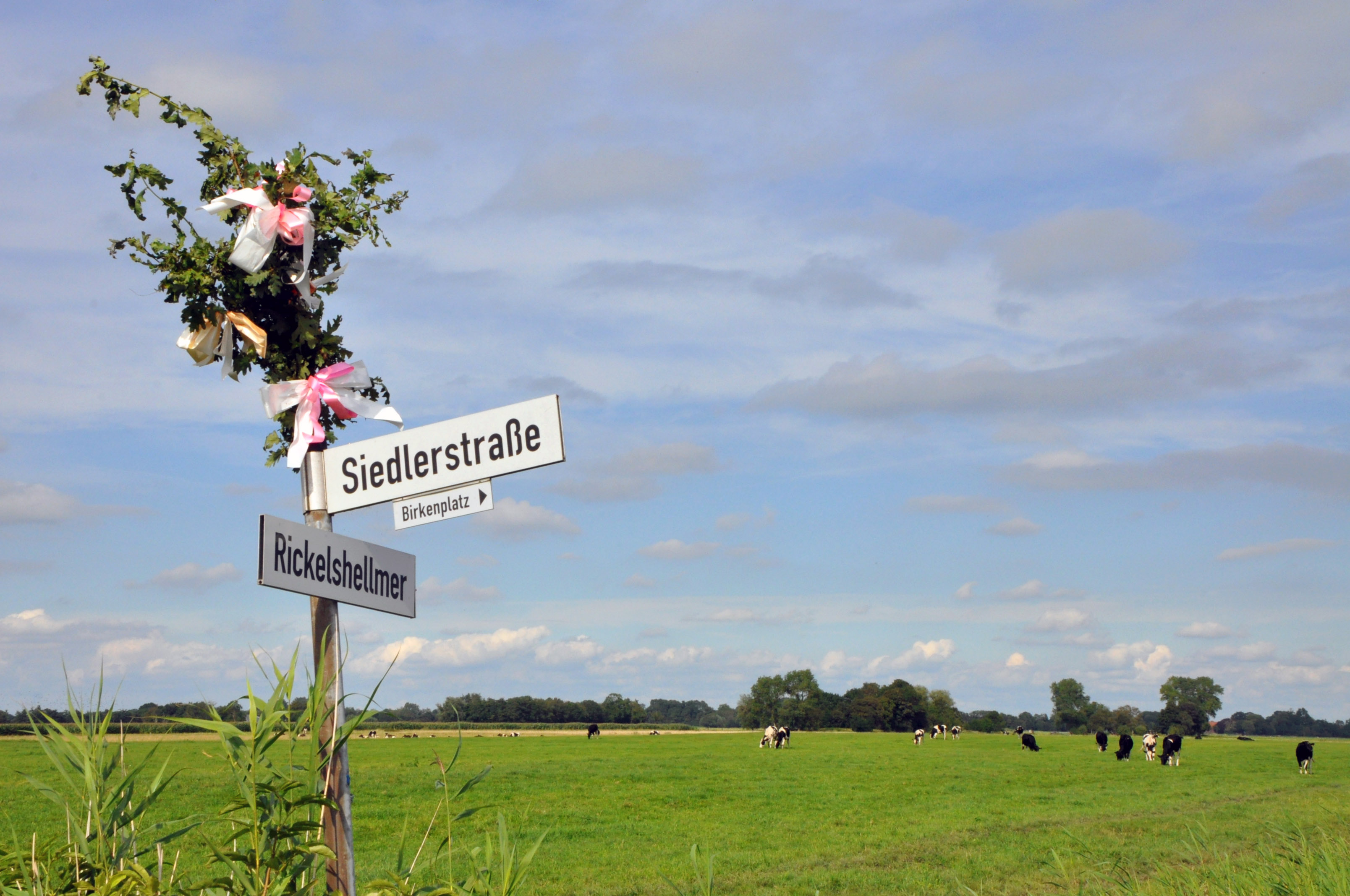 Wesermarsch: Weide, hoher Himmel, Straßenschild Birkenfest