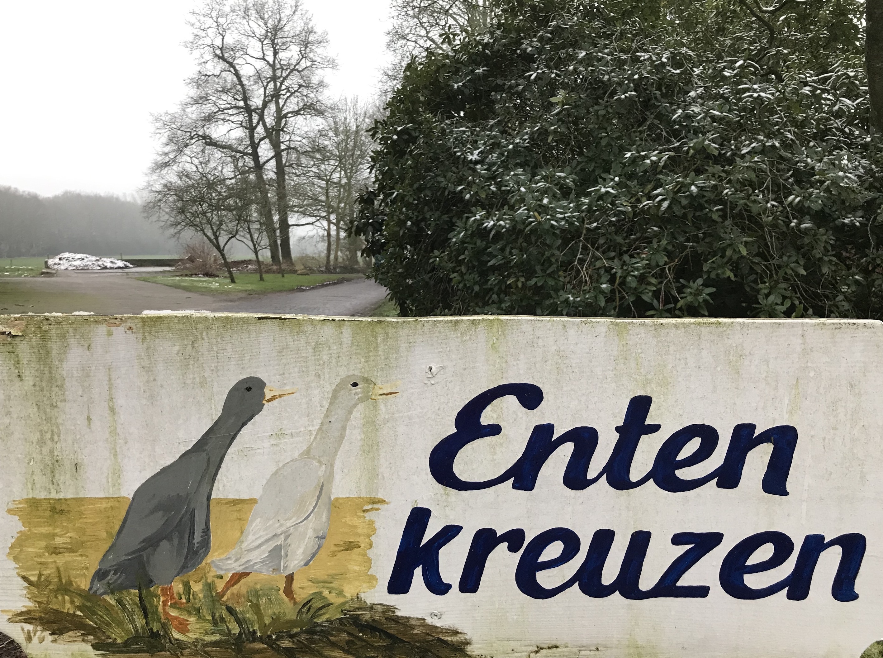 Schild neben Straße. Aufschrift: Enten kreuzen. Links daneben zwei Laufenten, gemalt