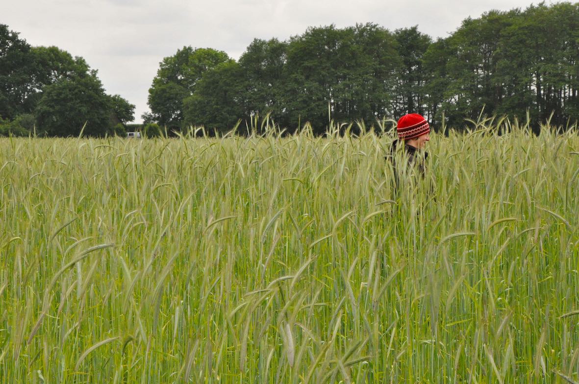 Mensch mit roter Mütze geht durch ein hohes Getreidefeld. Es schaut nur der Kopf mit der Mütze hervor.