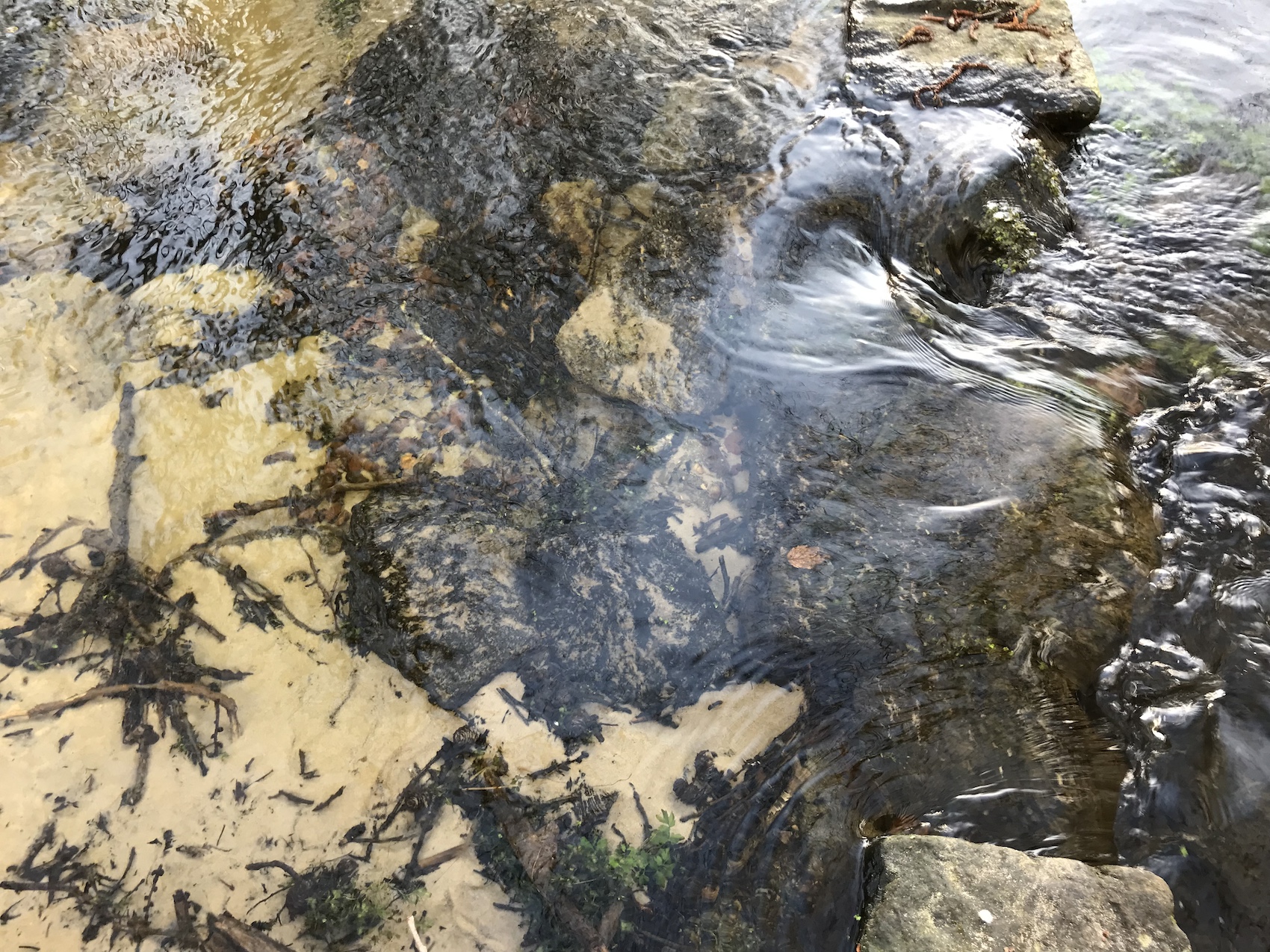Glasklares Wasser eines Baches, Blick bis zum Grund, Sandablagerung, Fließen über Stein