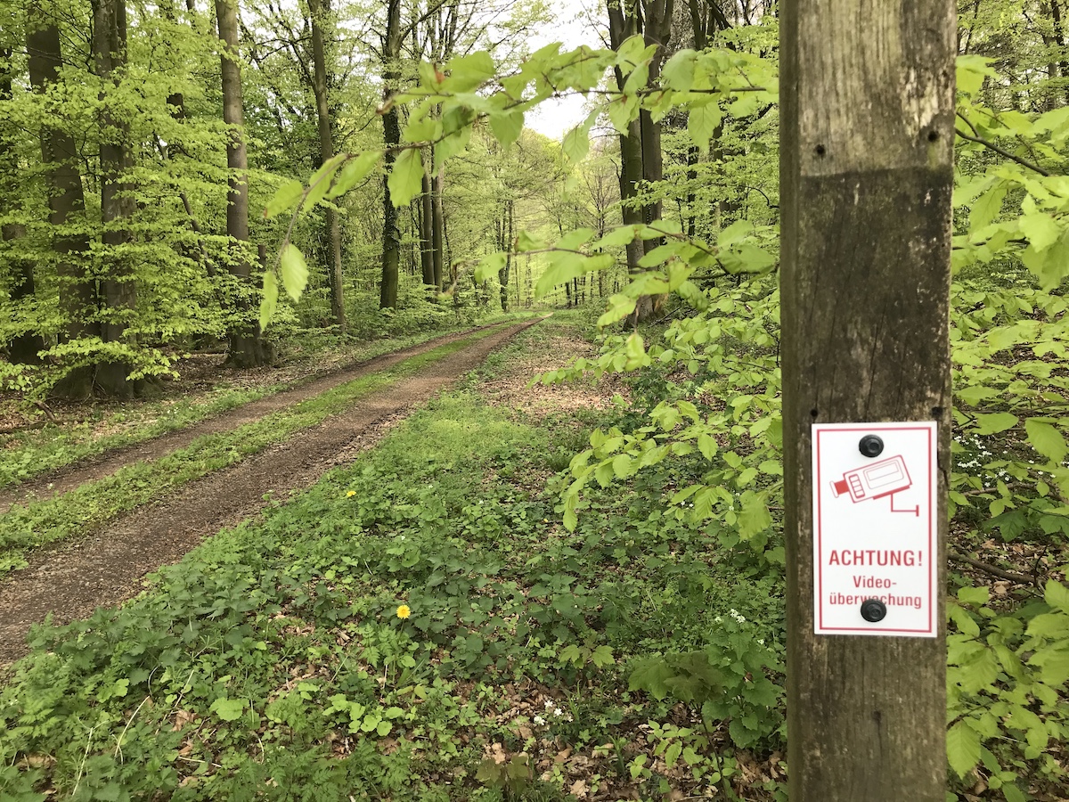 Waldweg umgeben von Bäumen in Maigrün. Im Vordergrund ein Hinweisschild: Achtung! Videoüberwacht!