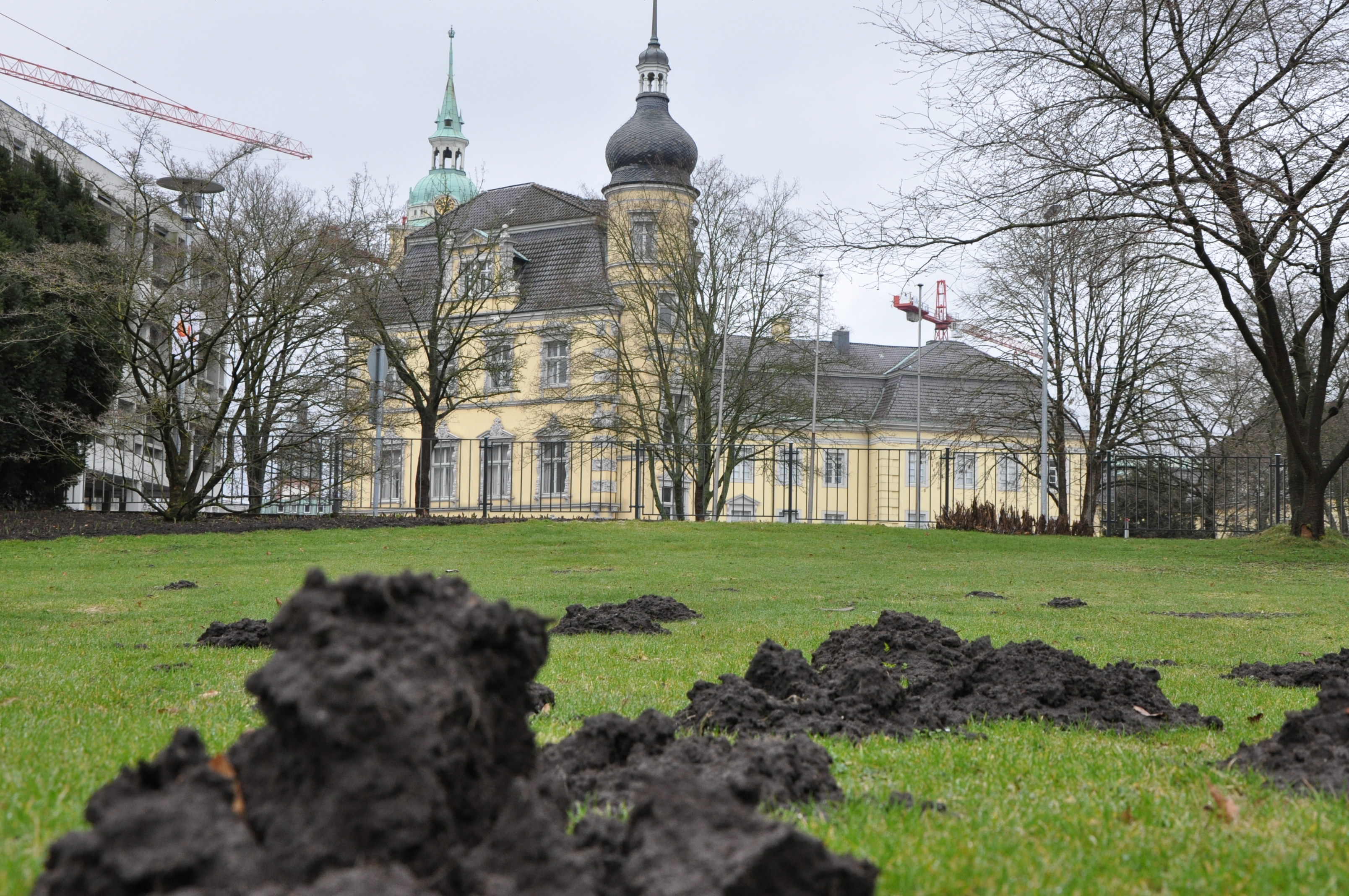 Maulwurfshügel im Oldenburger Schlossgarten, mit Blick aufs Schloss