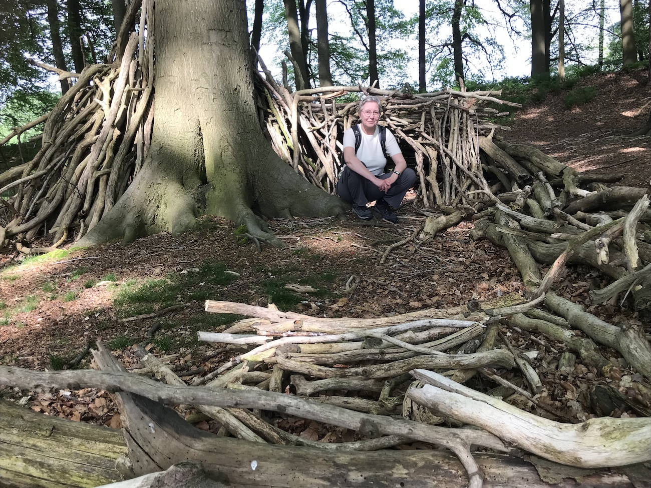 Zu einem Schutzwall zusammengetragene Äste rund um einen Baum im Wald. In der Mitte sitzt eine Person.