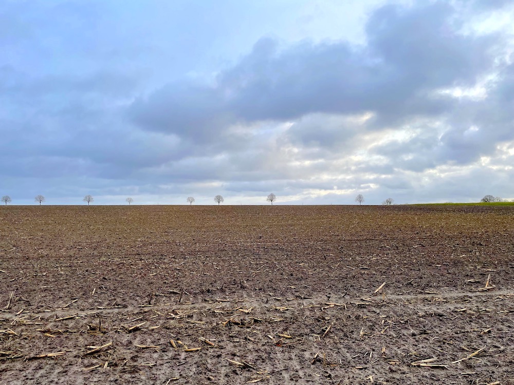 Sandhatten bei Oldenburg: zweigeteilte Landschaft – nackter Ackerboden und bewölkter Himmel