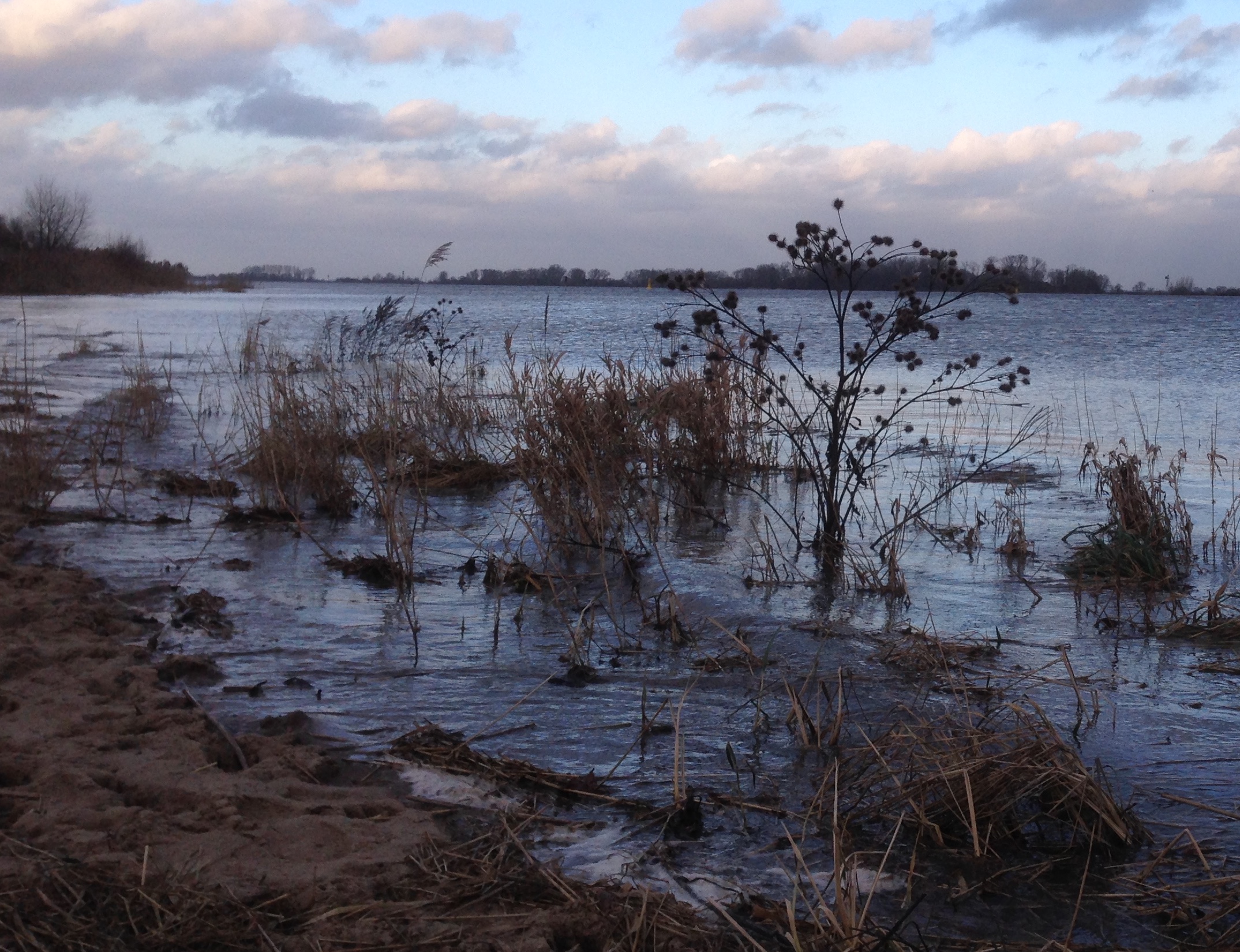 Breite Weser vor Oberhammelwarden bei Oldenburg, in blauem Abendlicht