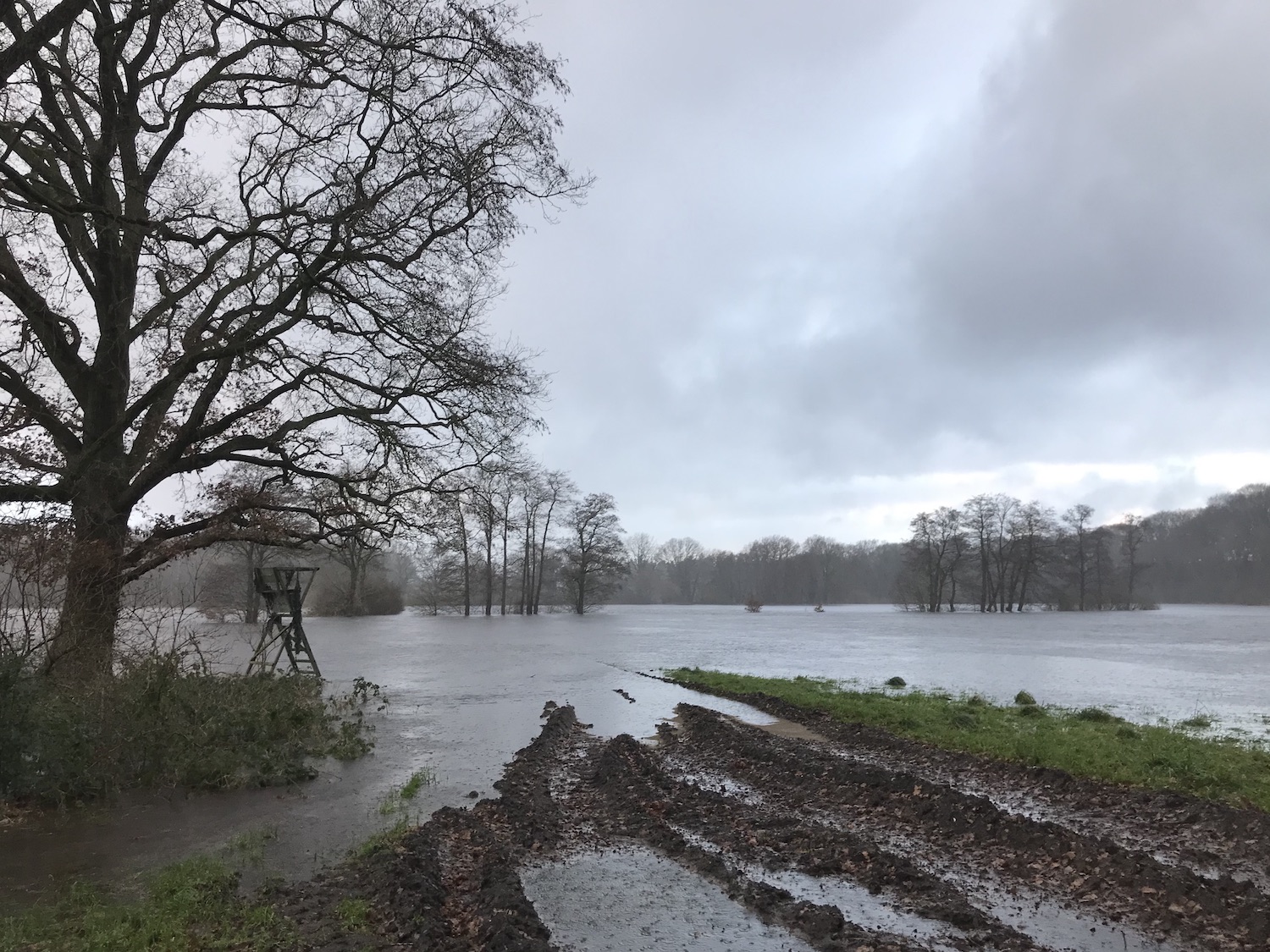 Blick auf vollkommen unter Wasser stehende Wiese. Mittendrin ein Baum und ein Hochstand. Regentropfen im Wasser.