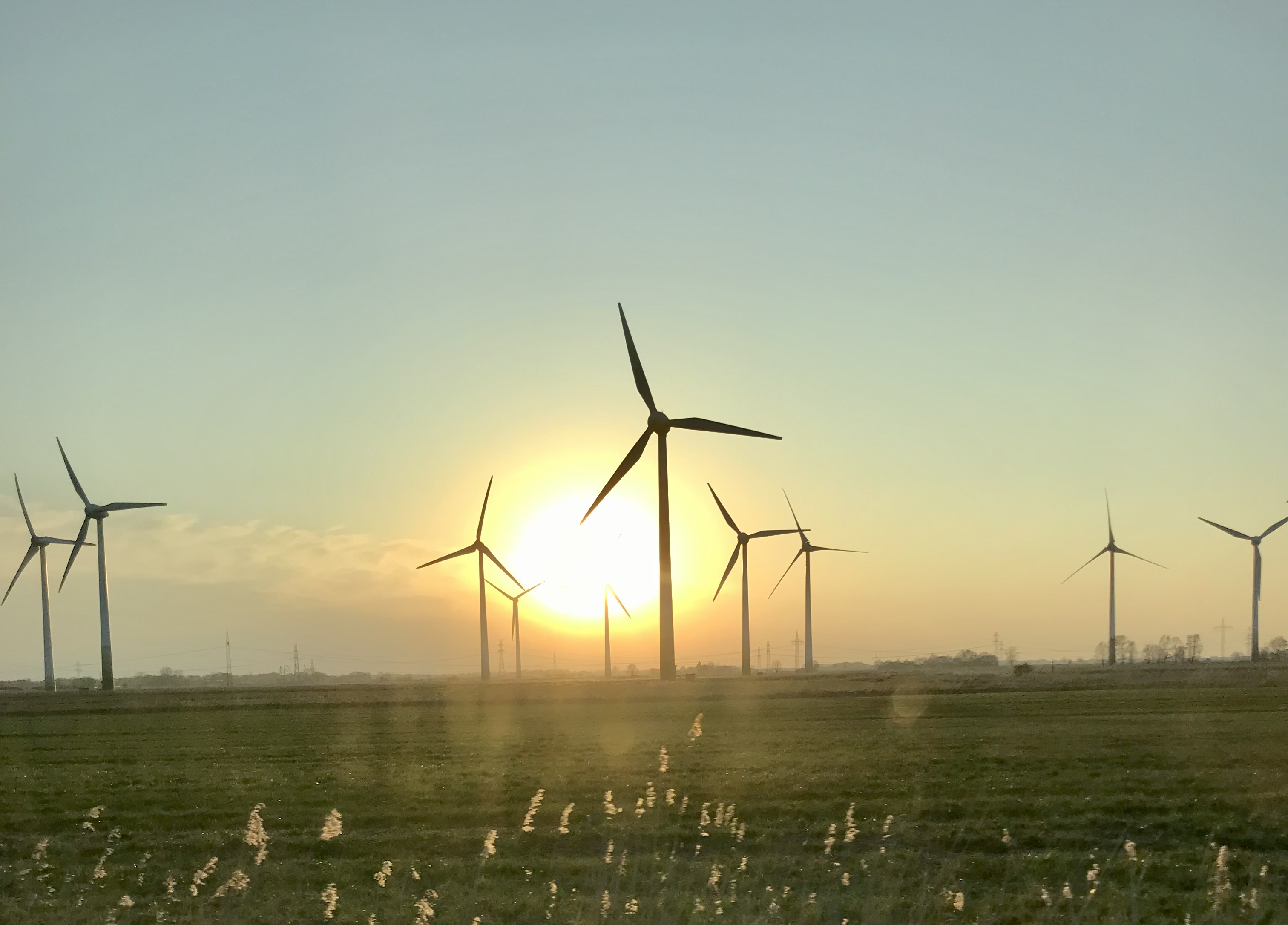 Windräder in flacher Landschaft, dahinter tief stehende Sonne