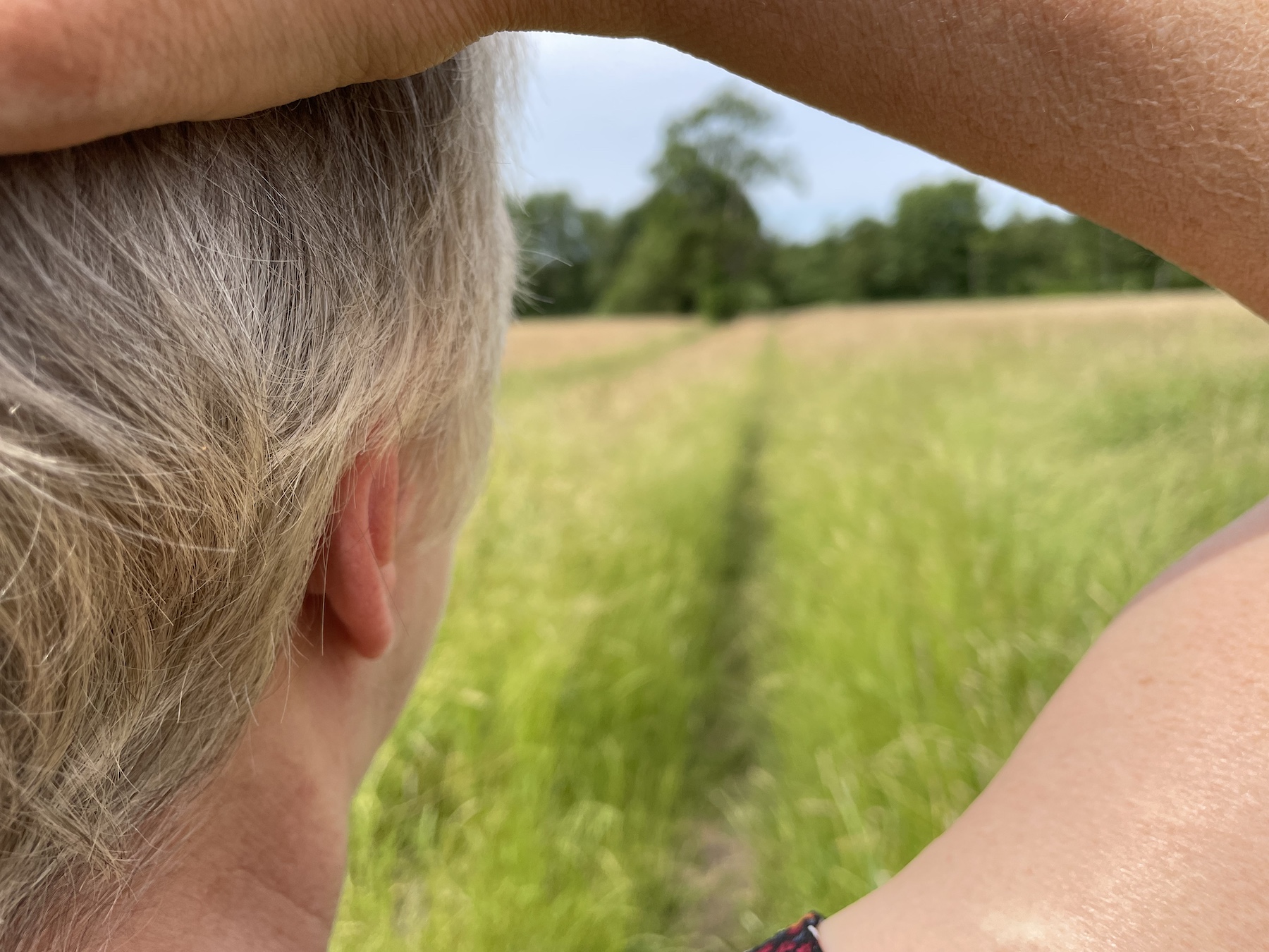 Wiesenpfad, unscharf, durch angewinkelten Arm fotografiert. Die Hand liegt auf dem Kopf, Teil des Hinterkopfes ist zu sehen.